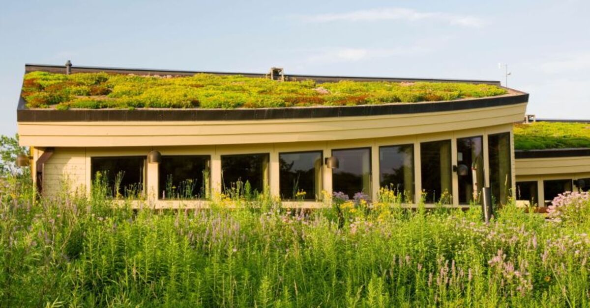 green-roofing 