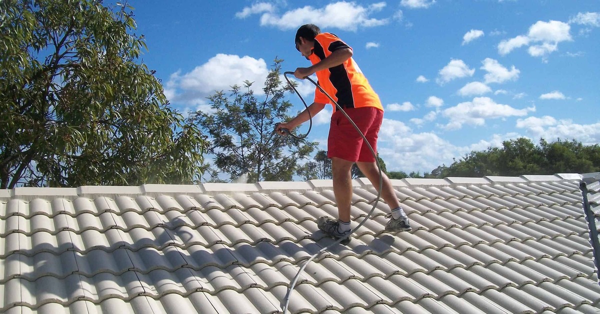 roof-painter (1)