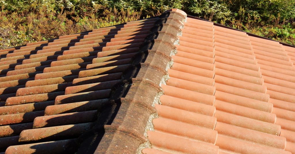How to Remove and Prevent Mould in Roof Cavity