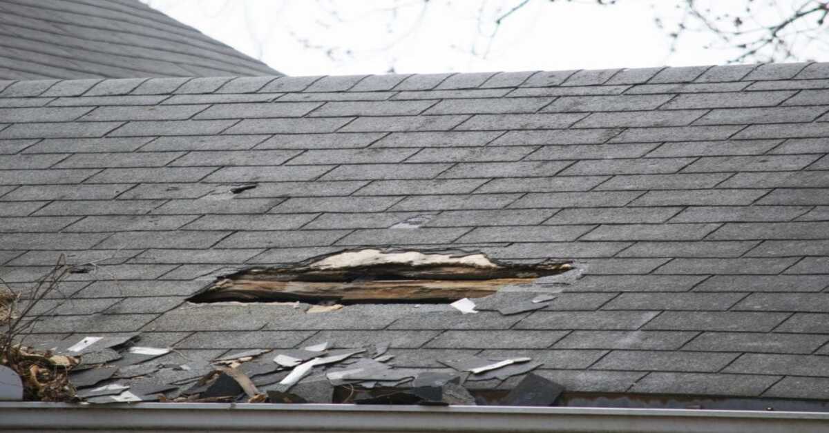 Wind-Damaged-Roof (1)